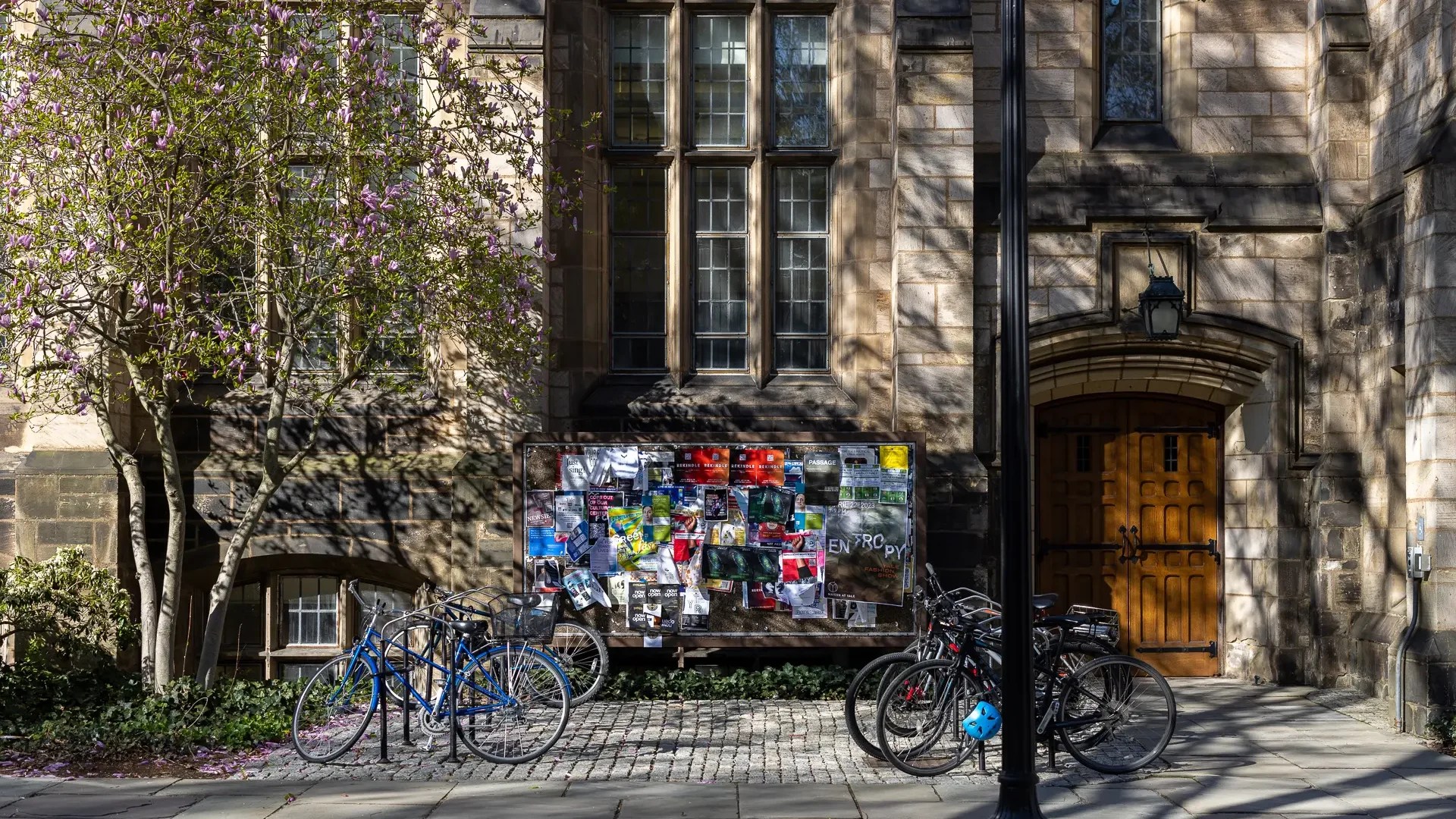 Bikes and bulletin board